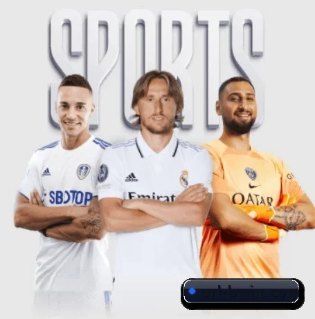 BWIN必赢体育的方向 - bwinsports
